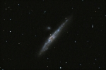 NGC 4631 (Wieloryb)