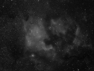Ameryka Północna - NGC 7000-1