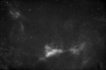 IC 1318A; Gamma Cygni Nebula