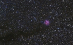 IC 5146 - Kokon (7,2mag; 3300 lat świetlnych)