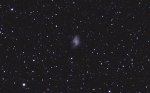 M1 - Mgławica Krab (8,4mag; 6300 lat świetlnych)